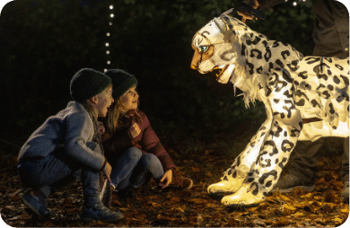 lantern experience at chester zoo